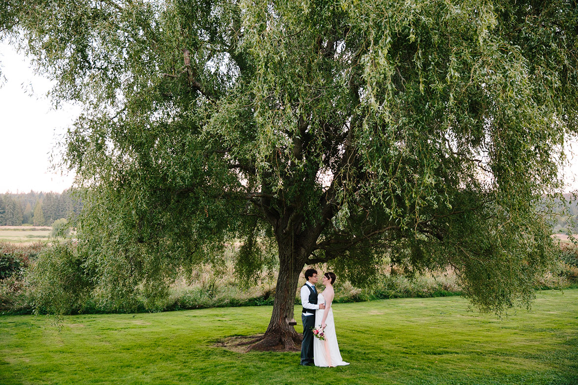 Bride and groom kissing under willow tree during sunset at Fireseed Catering wedding on Whidbey Island, WA