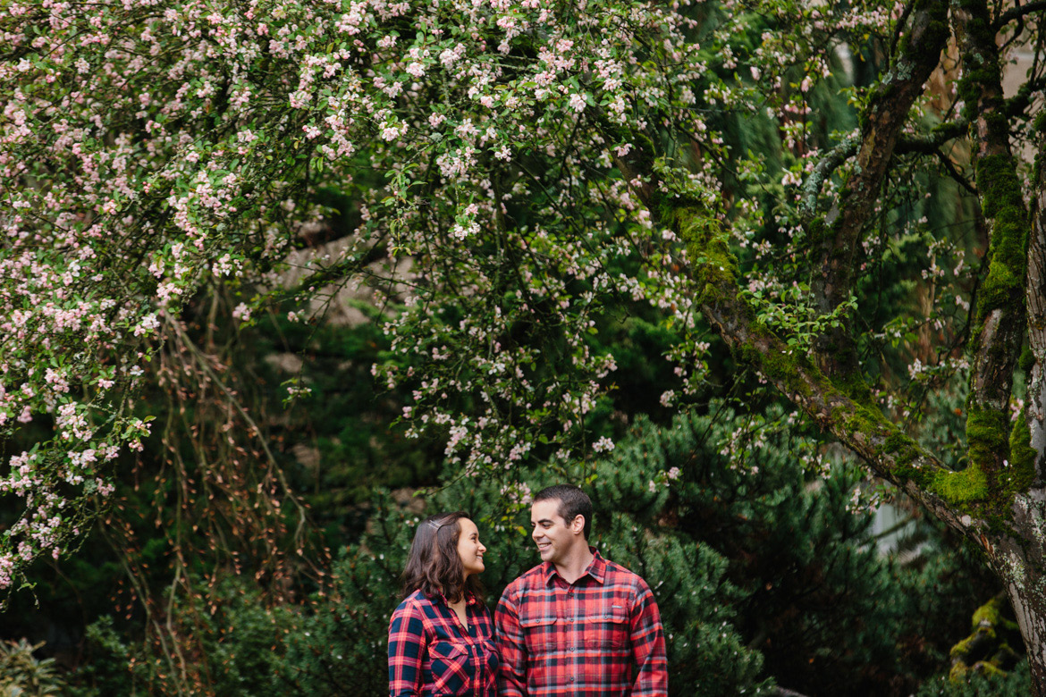 Couple under cherry tree during engagement photos at Seattle University in Washington