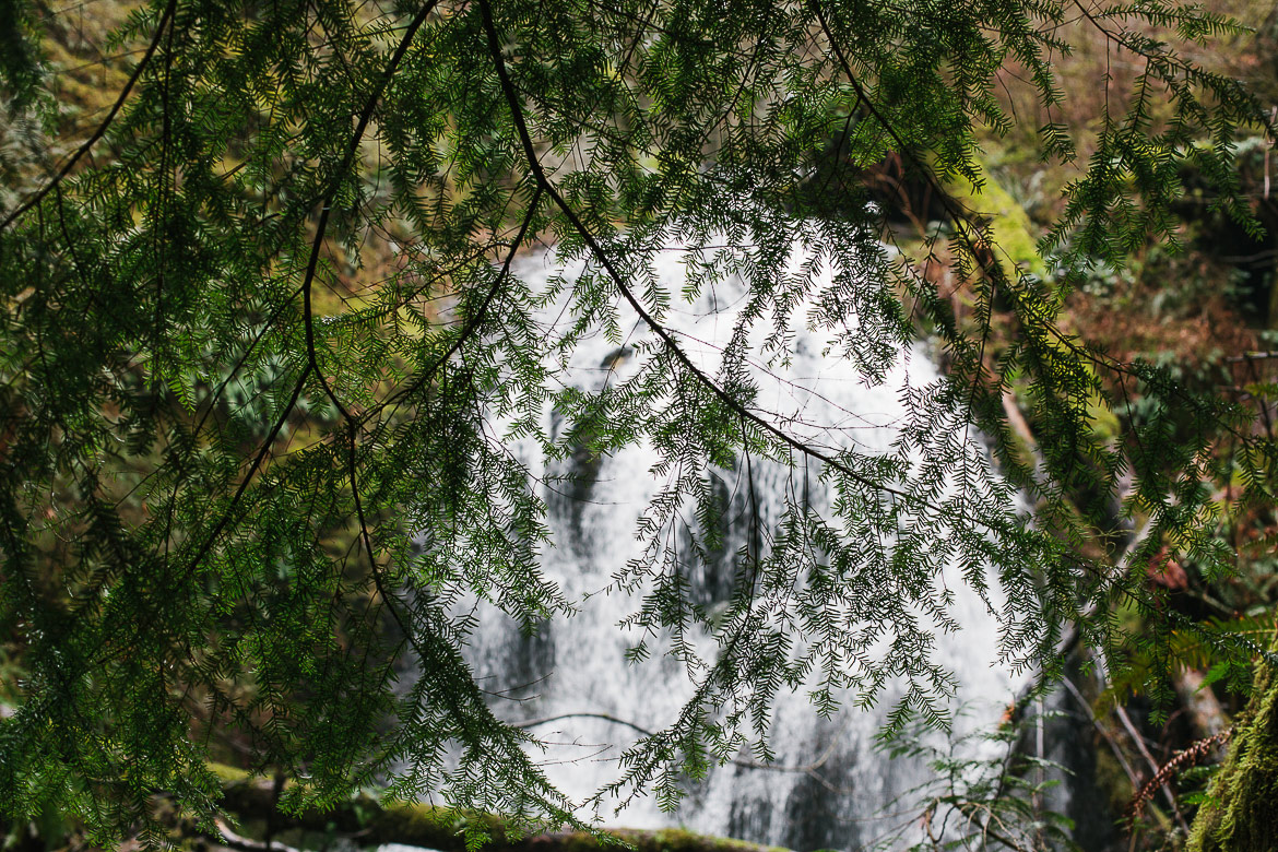 Orcas Island Washington Mount Constitution trails waterfall