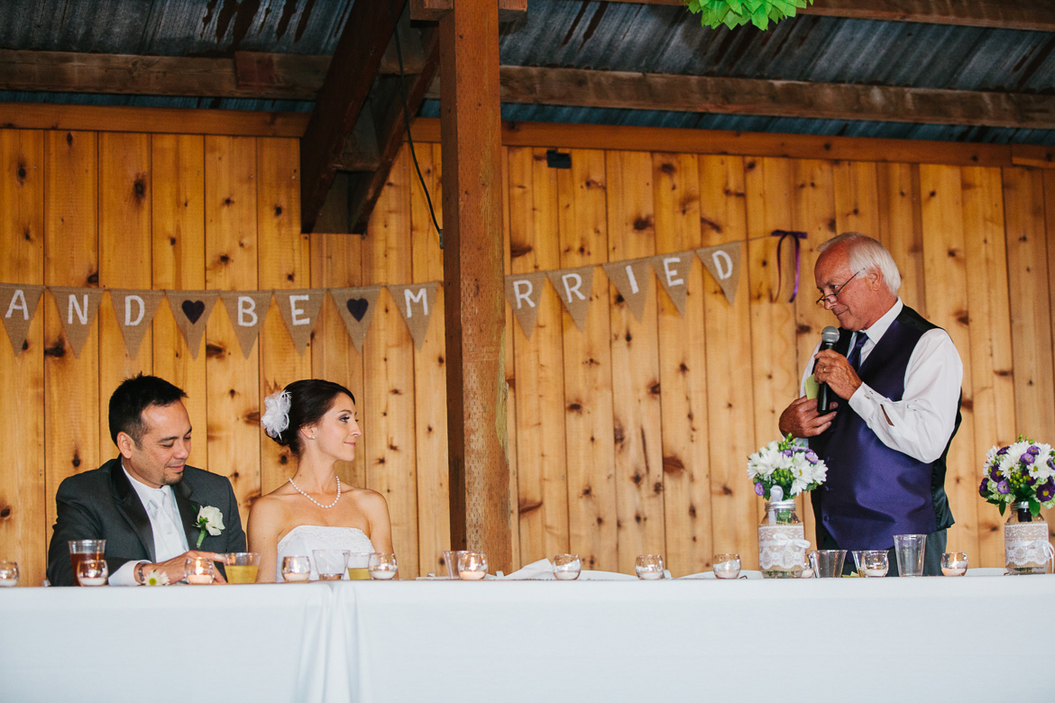 Swan Trail Farms wedding reception bride groom toasts
